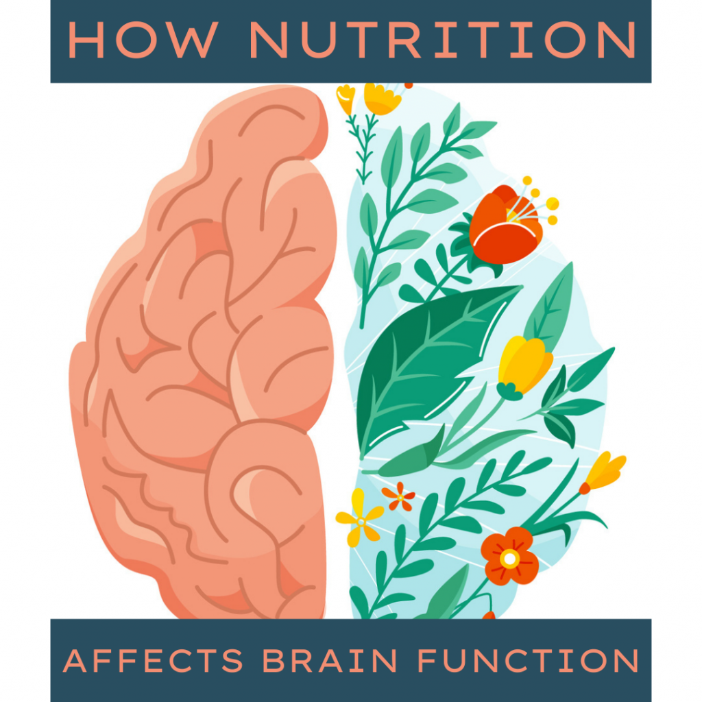 how-nutrition-affects-your-brain-function